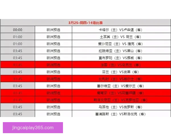 世界杯买球全攻略：技巧分析与风险防控全面指南