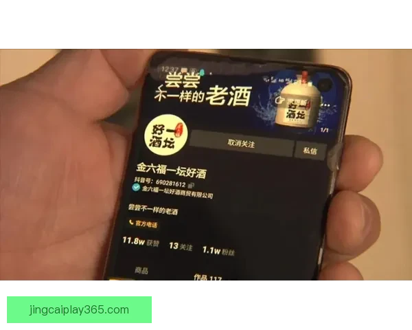 世界杯竞猜稳定平台推荐，专业分析助你精准投注赢大奖